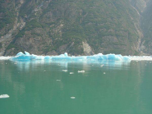 Bergs